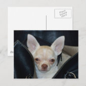 Fahrt Postkarte (Vorne/Hinten)