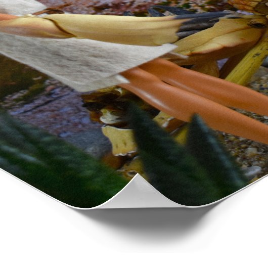 Fahrt zu den Jagdgründen, Poster. Poster (Ecke)