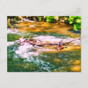 FAHRZEUG POSTKARTE