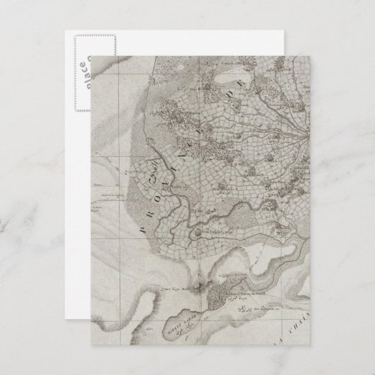 Faioum, Ägypten Postkarte (Vorne/Hinten)