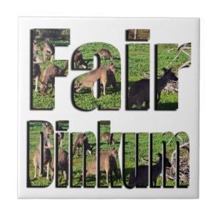 Fair Dinkum Aussie Slang Word with Kangaroos, Fliese