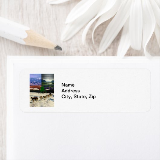 Fairbanks, Alaska Collage (Insitu)