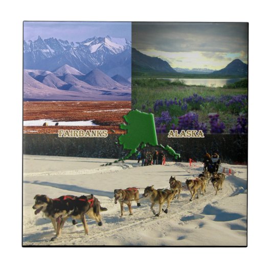 Fairbanks, Alaska Collage Fliese (Vorderseite)