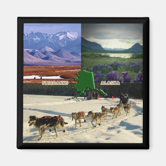 Fairbanks, Alaska Collage Magnet (Vorne)