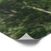 Fairchild PT-19 Cornell. Poster (Ecke)