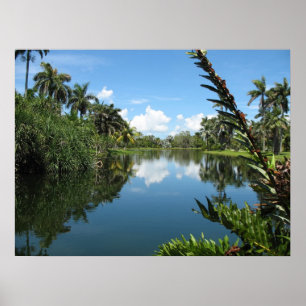 Fairchild Tropical Botanic Garden Poster