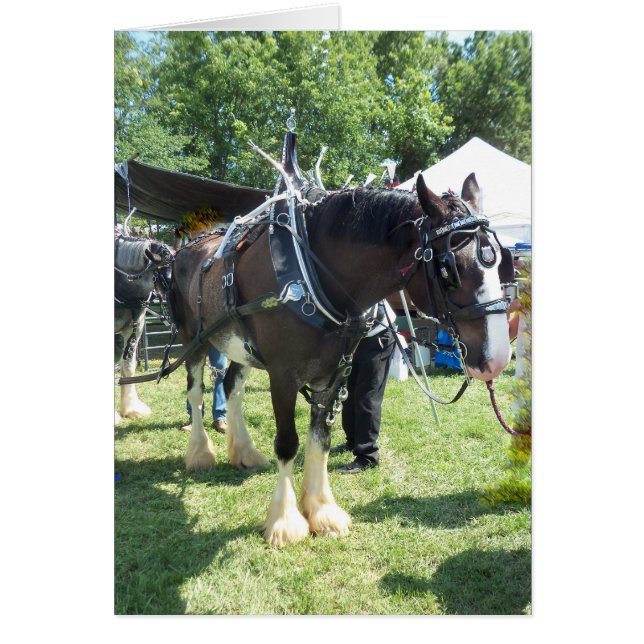 Faires Pferd (Vorne)