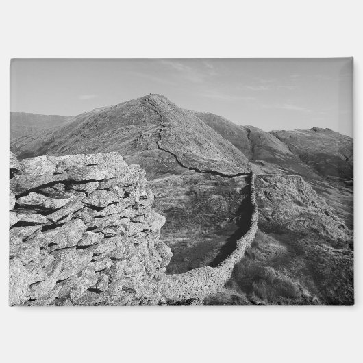 Fairfield Horseshoe Magnet (Vorderseite)
