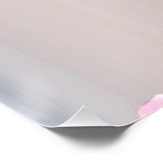 Fairies 5 poster (Ecke)