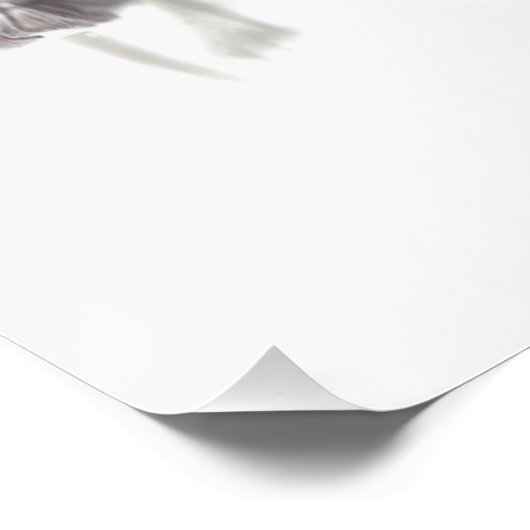 Fairies 6 poster (Ecke)