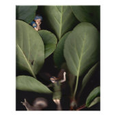 Fairies 7 poster (Vorderseite)