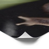 Fairies 7 poster (Ecke)