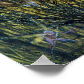 Fairies and Rabbit Poster (Ecke)