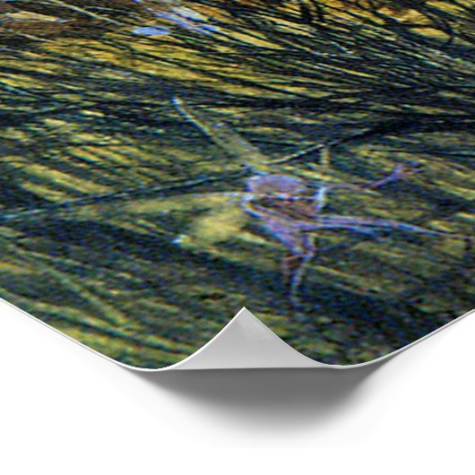 Fairies and Rabbit Poster (Ecke)