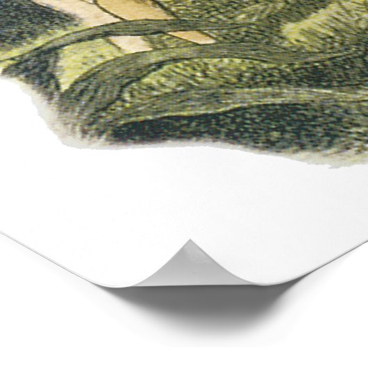 Fairies Playing mit Robin Print von Richard Doyle Poster (Ecke)