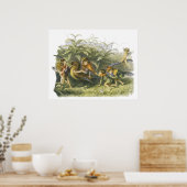 Fairies Playing mit Robin Print von Richard Doyle Poster (Küche)