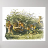 Fairies Playing mit Robin Print von Richard Doyle Poster (Vorne)