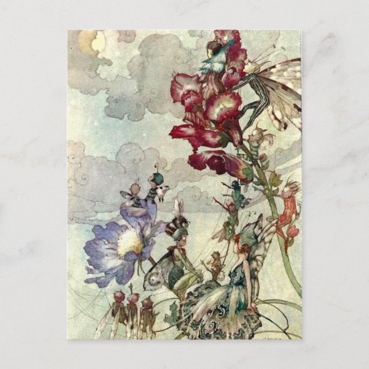 "Fairies" Postkarte (Vorderseite)