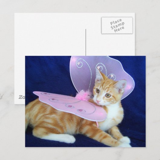 Fairies Postkarte (Vorne/Hinten)