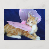 Fairies Postkarte (Vorderseite)