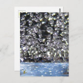 Fairies Tanzen, Esoteric Surreal Natory Postkarte (Vorne/Hinten)