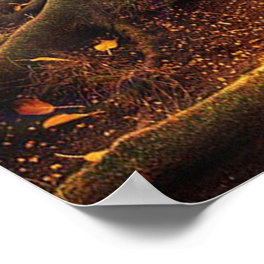 Fairies, Wiccan, Pagan, Sunlit Forest Poster (Ecke)