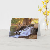 Fairmount Park - Flussufer Karte (Gelbe Blume)