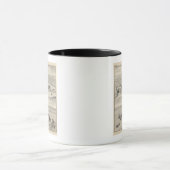 Fairview-res, Ranches Tasse (Zentrum)