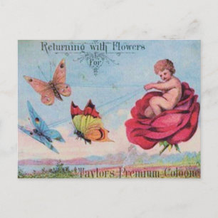 Fairy and Butterflies Köln Ad Postkarte