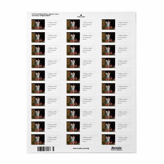 Fairy Butterfly (Vorne)