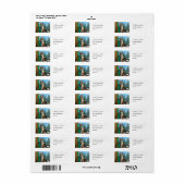 Fairy Butterfly (Vorne)