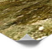 Fairy Butterfly Poster (Ecke)