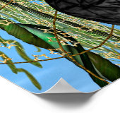 Fairy Butterfly Poster (Ecke)