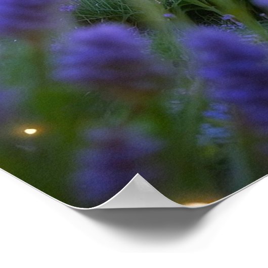 Fairy Castle Poster (Ecke)