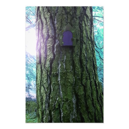 Fairy Door on Tree Poster (Vorne)