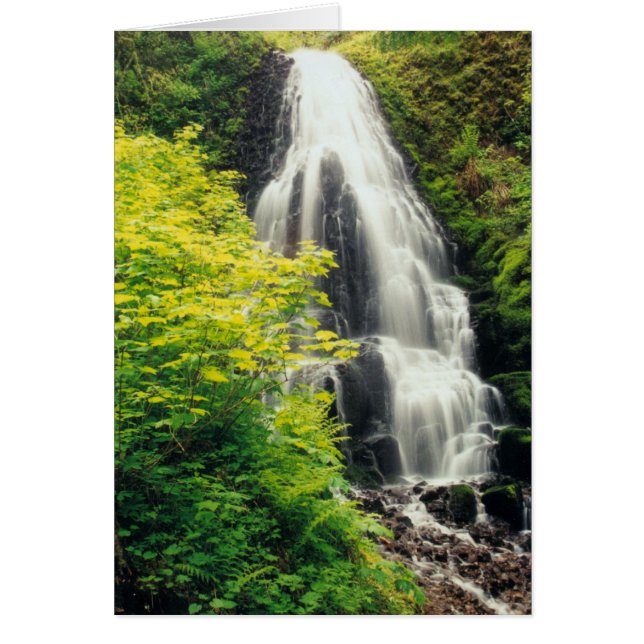 Fairy Falls (Vorne)