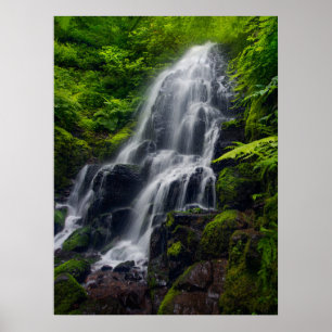Fairy Falls   Colombia River Gorge Oregon. Poster