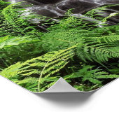 Fairy Falls Poster (Ecke)