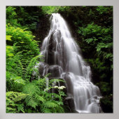 Fairy Falls Poster (Vorne)