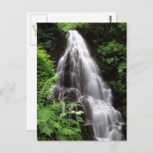 Fairy Falls Postkarte (Vorne/Hinten)