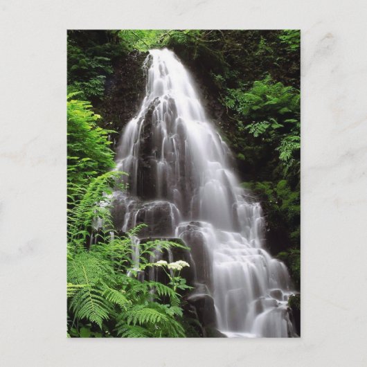 Fairy Falls Postkarte (Vorderseite)