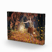 Fairy Fotoblock (Rechts)