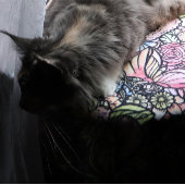 Fairy Garden Gardens Fleecedecke