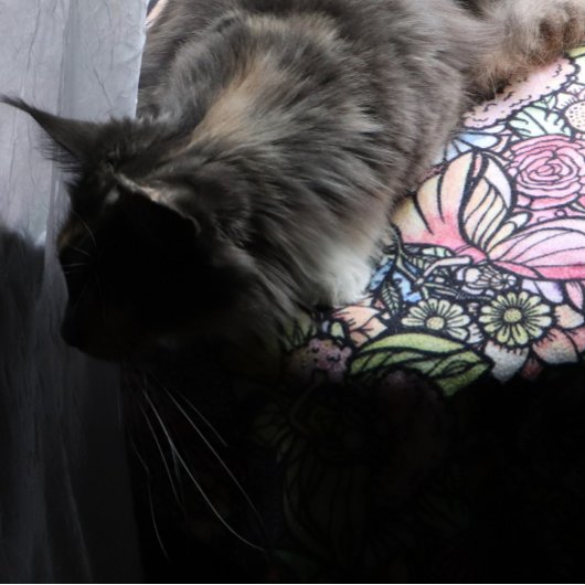 Fairy Garden Gardens Fleecedecke