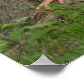 Fairy Girl Poster (Ecke)