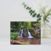 Fairy Glen Wasserfall, Rosemarkie Postcard Postkarte (Stehend Vorderseite)
