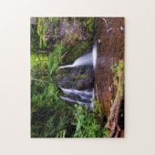 Fairy Glen Waterfall, Rosemarkie Jigsaw Puzzle (Vertikal)
