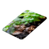 Fairy im Gartenmagnet Magnet (Linke Seite)