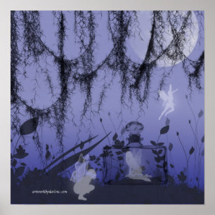 fairy in a bottle poster