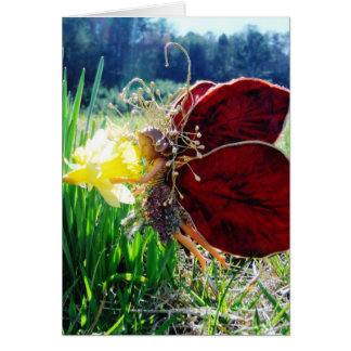 Fairy in den Affodien